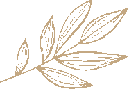 Soothe and Sage sage leaf logo